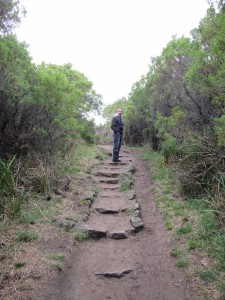 Melbourne to Adelaide-018